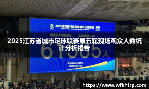 2025江苏省城市足球联赛第五轮现场观众人数统计分析报告